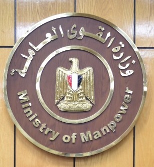 وزير القوى العامله 